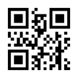 Configuration code: Stop the same item scanning over and over